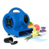 scented air mover with air purifying ionizer