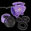 XPOWER B-2 Pro at Home 2 HP Dog Grooming 2-in-1 Force Pet Dryer & Vacuum