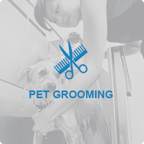 PET GROOMING