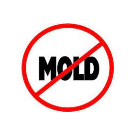 Mold Prevention